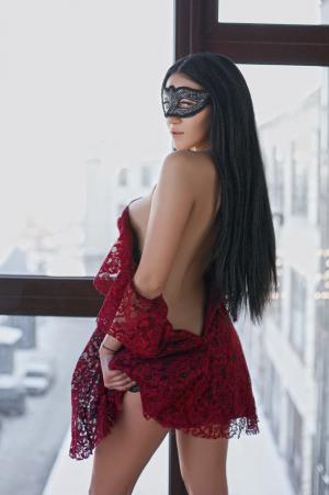 Салон с проститутками ЭРОС VIP Гостиный Двор