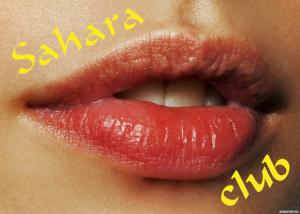 Салон с проститутками Sahara Club